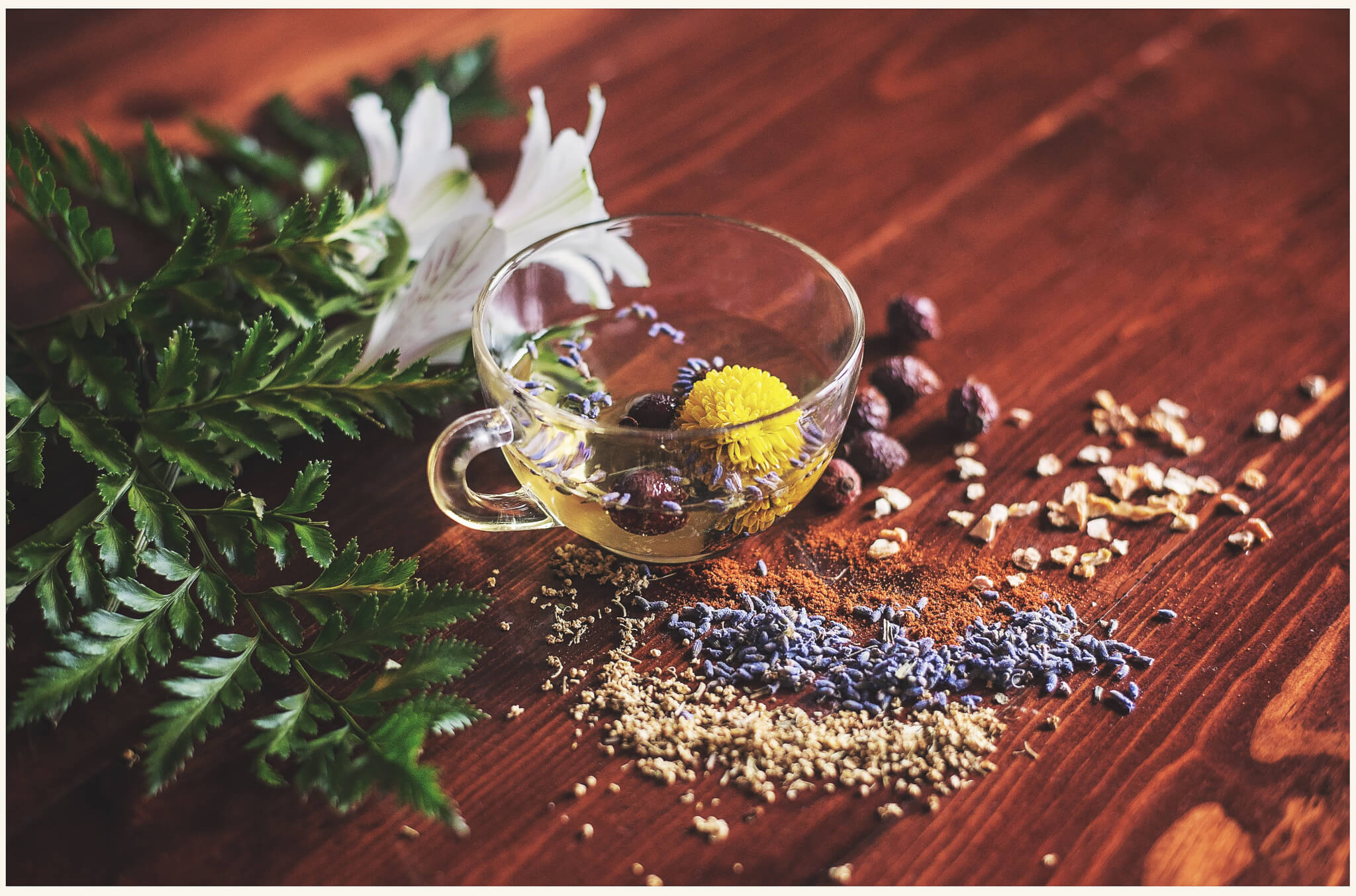 Nuherbs launches a wholesale B2B E-Commerce platform for dietary supplements with Spree Commerce