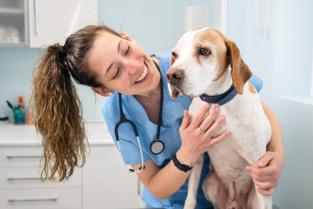 Launch Your Own White-label eCommerce Platform for Veterinarians